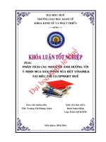 Phân tích các nhân tố ảnh hưởng tới ý định mua sản phẩm sữa bột Vinamilk tại siêu thị Co.opmart Huế
