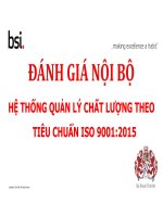 ISO 9001 2015 INTERNAL AUDIT BSI