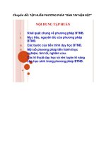 Chuyên đề tap huan PHUONG PHAP BAN TAY NAN BOT