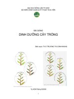 Bài giảng Dinh dưỡng cây trồng
