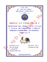 Đánh giá hiệu quả kinh tế sản xuất ca cao của các hộ nhận khoán thuộc Công ty TNHH MTV Cà phê Buôn Hồ, thị xã Buôn Hồ, tỉnh Đắk Lắk