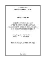 (LUẬN ÁN TIẾN SĨ Y HỌC) NGHIÊN CỨU XƠ HÓA GAN Ở BỆNH NHÂN BỆNH GAN MẠN BẰNG ĐO ĐÀN HỒI GAN THOÁNG QUA ĐỐI CHIẾU VỚI MÔ BỆNH HỌC