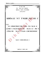 Giải pháp phát triển hoạt động bảo lãnh tại Ngân hàng TMCP Công Thương Việt Nam – Chi nhánh Huế