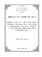 NGHIÊN CỨU CÁC YẾU TỐ ẢNH HƯỞNG ĐẾN QUYẾT ĐỊNH MUA SẢN PHẨM PHẦN MỀM ỨNG DỤNG GIS CỦA KHÁCH HÀNG TỔ CHỨC ĐỐI VỚI CÔNG TY CỔ PHẦN CÔNG NGHỆ THÔNG TIN ĐỊA LÍ EK TẠI THÀNH PHỐ HÀ NỘI