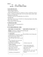 Giáo án lớp 3 (mới và đầy đủ)