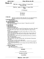 GIAO AN LOP 2  tuan 11+12+13 