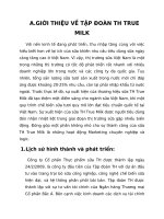 Lựa chọn một sản phẩm của một doanh nghiệp đang kinh doanh trên thị trường việt nam  phân tích sự thay đối của môi trường marketing vĩ mô trong 3 năm ( 2014  2016) trở lại đây tác động đến chiến lược marketing của công ty.đề xuất chiến lược