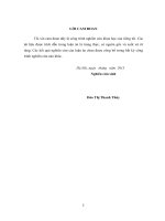 (LUẬN ÁN TIẾN SĨ QUẢN LÝ HÀNH CHÍNH CÔNG) ĐÁNH GIÁ CÔNG CHỨC THEO KẾT QUẢ THỰC THI CÔNG VỤ