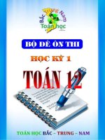 BO 20 DE ON THI HK1 TOAN 12 (1)