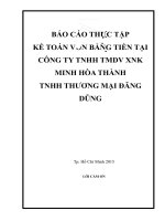 KẾ TOÁN vốn BẰNG TIỀN tại CÔNG TY TNHH TMDV XNK MINH hòa THÀNH TNHH THƯƠNG MẠIĐĂNG DŨNG 