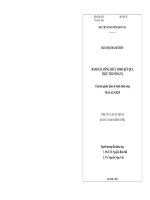 (TÓM TẮT LUẬN ÁN TIẾN SĨ QUẢN LÝ HÀNH CHÍNH CÔNG) ĐÁNH GIÁ CÔNG CHỨC THEO KẾT QUẢ THỰC THI CÔNG VỤ