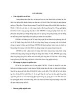 Tổng quan về công nghệ DWDM và cơ sở kỹ thuật ghép kênh quang theo bước sóng 