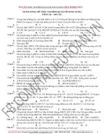 Ngân hàng đề trắc nghiệm quan hệ song song (400 câu file word có đáp án)