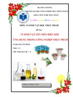 VI SINH VẬT LÊN MEN HIẾU KHÍ ỨNG DỤNG TRONG CÔNG NGHỆP THỰC PHẨM