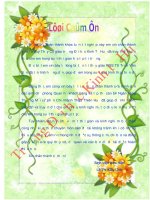 Kiểm soát nội bộ hoạt động tín dụng và giải pháp ngăn ngừa rủi ro tín dụng tại Ngân hàng Nam Việt chi nhánh Huế