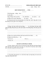 mau sinh hoat chi bo