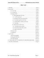 Tiểu luận sử dụng sơ đồ tư duy trong dạy học môn sinh học 