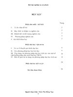 Tiểu luận ứng dụng các phương pháp dạy học tích cực vào một số tình huống giảng dạy môn hoá học THCS 