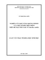 Nghiên cứu khả năng kháng pepsin của một số đột biến điểm trên bề mặt phytase từ bacillus subtilis 