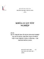 Quản trị rủi ro tín dụng doanh nghiệp tại ngân hàng thương mại cổ phần việt nam thịnh vượng (VPBank)   chi nhánh thăng long 