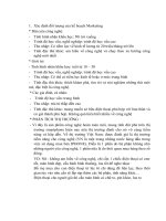 Kế hoạch Marketing sản phẩm mới  Giữa kỳ Marketing thầy Tuấn Anh FTU