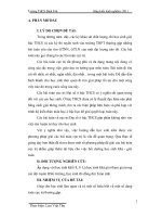 SKKN một số phương pháp giải các bài toán cực trị của bậc trung học cơ sở 