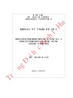 Phân tích tình hình tiêu thụ sản phẩm của Công ty TNHH MTV Cao su Quảng Trị giai đoạn 2010-2012
