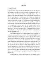 Khóa luận thiết kế phương án dạy học một số kiến thức thuộc chương 