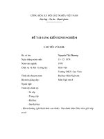 SKKN để dạy học tốt văn thuyết minh 