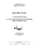 NGHIÊN CỨU CẢI CÁCH GIÁO DỤC BẬC TIỂU HỌC THEO MÔ HÌNH VNEN.