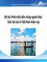 Thuyết trình môn đường lối cách mạng của đảng cộng sản Việt Nam