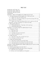 Hoàn thiện chính sách tỷ giá ở Việt Nam giai đoạn 2010-2020