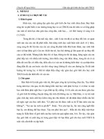 Chuyên đề ngoại khoá giáo dục giới tính cho học sinh trung học cơ sở