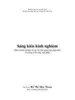 SKKN một số kinh nghiệm về các trò chơi ngôn ngữ giúp kiểm tra,củng cố từ vựng, ngữ pháp 