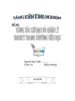 SKKN công tác chỉ đạo và quản lý ứng dụng công nghệ thông tin trong trường tiểu học 