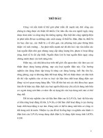 Nhiệm vụ của đề tài là tổng hợp và nghiên cứu hành vi điện hoá của LiV3O8 trong dung dịch điện ly là dung dịch trung tính LiClO4 0.1M.