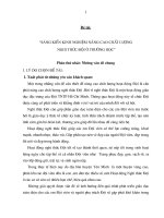 SKKN nâng cao chất lượng nghi thức đội ở trường học 