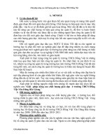 SKKN giải pháp nâng cao chất lượng giáo dục ở trường trung học cơ sở đồng việt 