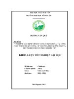 Tình hình mắc bệnh viêm tử cung ở đàn lợn nái tại công ty CP Thiên Thuận Tường  thành phố Cẩm Phả  tỉnh Quảng Ninh và thử nghiệm một số phác đồ điều trị