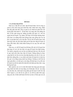 (TÓM TẮT LUẬN ÁN TIẾN SĨ QUẢN LÝ HÀNH CHÍNH CÔNG) ĐÁNH GIÁ KẾ HOẠCH PHÁT TRIỂN KINH TẾ  XÃ HỘI Ở VIỆT NAM