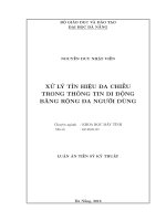 Xử lý tín hiệu đa chiều trong thông tin di động băng rộng đa người dùng 