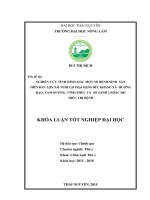 Nghiên cứu tình hình mắc một số bệnh sinh sản trên đàn lợn nái nuôi tại trại đặng đức khang xã hướng đạo   tam dương   vĩnh phúc và so sánh 2 phác đồ điều trị bệnh 