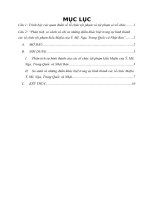 Trình bày các quan điểm về tổ chức tội phạm và tội phạm có tổ chức