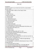 Luận văn Kế toán nguyên vật liệu tại Công Ty Cổ Phần Xây Dựng Minh Sáng