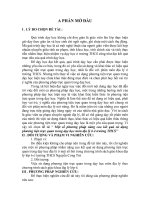 SKKN một số phương pháp nâng cao kết quả sử dụng phương tiện trực quan trong dạy học môn địa lý 6 ở trường THCS 