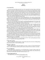 SKKN một số phương pháp giải phương trình vô tỉ 