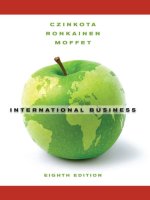 International business 8th edition czincota