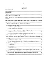 Luận văn quản lý tài chính các trường đại học công lập ở Việt Nam