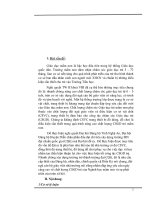 SKKN giải pháp xây dựng cơ sở vật chất và trang thiết bị trường mầm non theo hướng đạt chuẩn quốc gia 