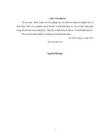 Hoàn thiện công tác quản lý sử dụng vốn cho ban quản lý chương trình UN REDD việt nam giai đoạn II tỉnh hà tĩnh 